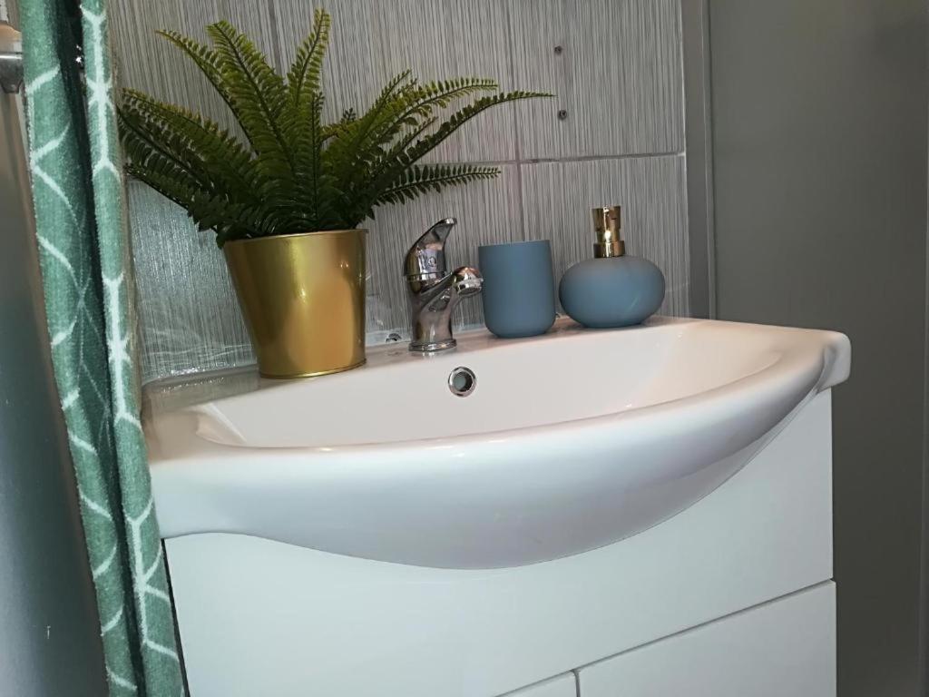 Guesthouse Smart Бухарест Экстерьер фото