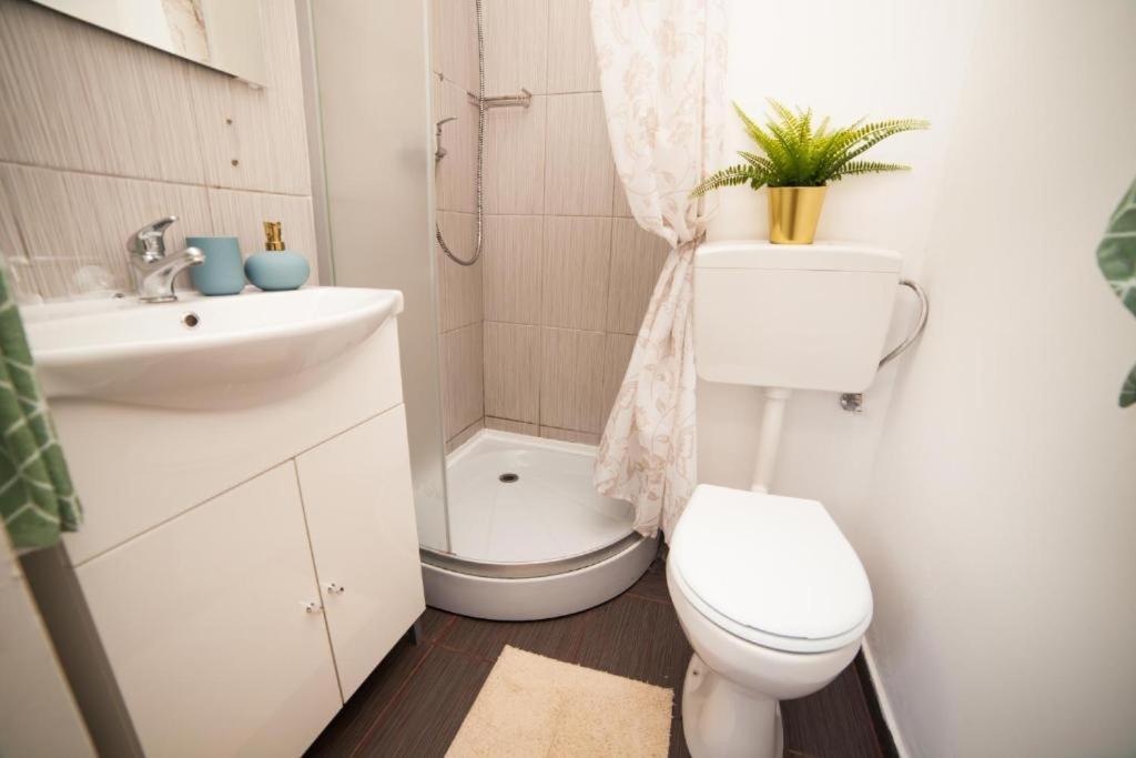 Guesthouse Smart Бухарест Экстерьер фото